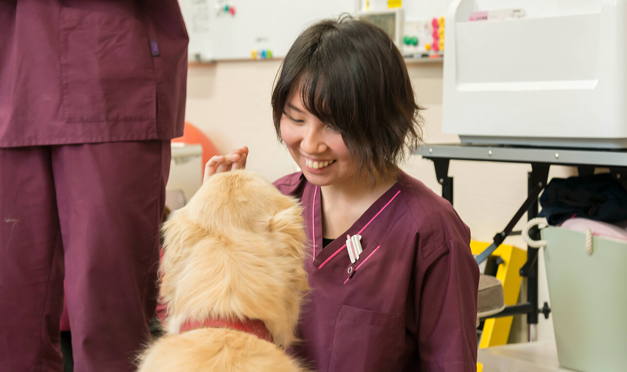 高度化する獣医療を支える動物看護師を育成