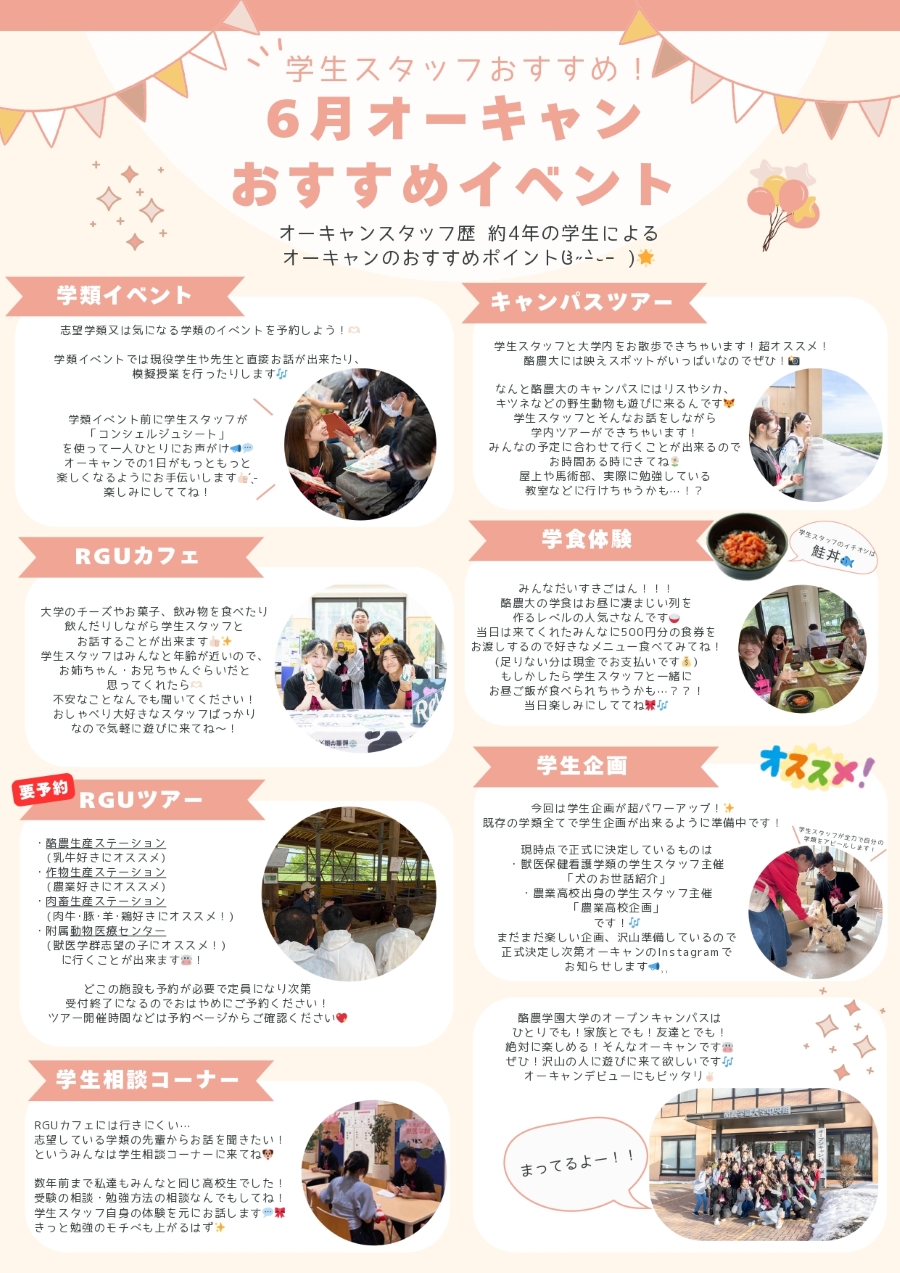 開催内容