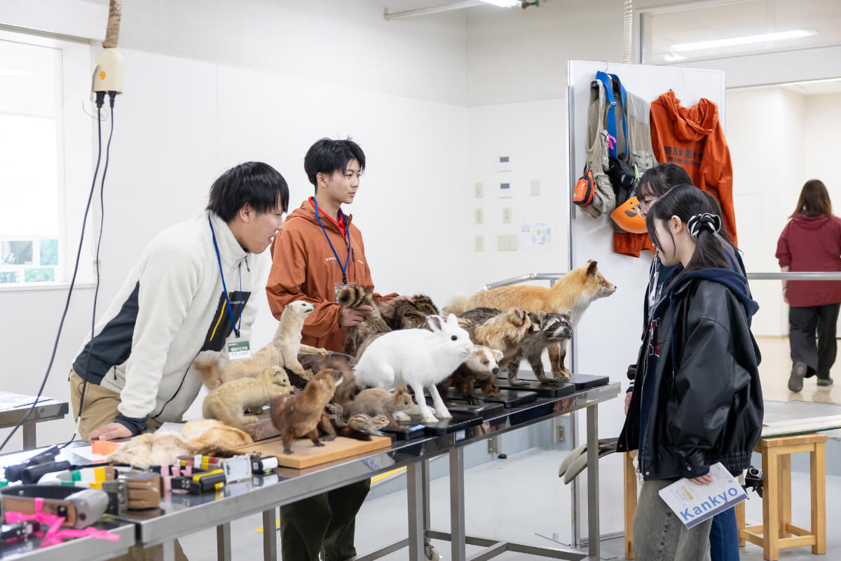 研究室紹介