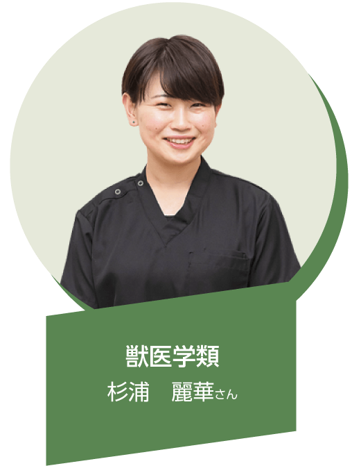 杉浦 麗華 酪農学園大学 受験生サイト